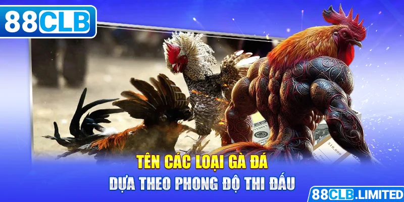 Tên các loại gà đá dựa theo phong độ thi đấu